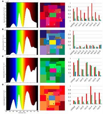 The Constancy of Colored After-Images